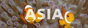 Asia